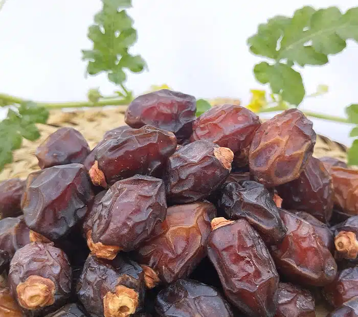 خرمای خاصویی خشک آجیلی