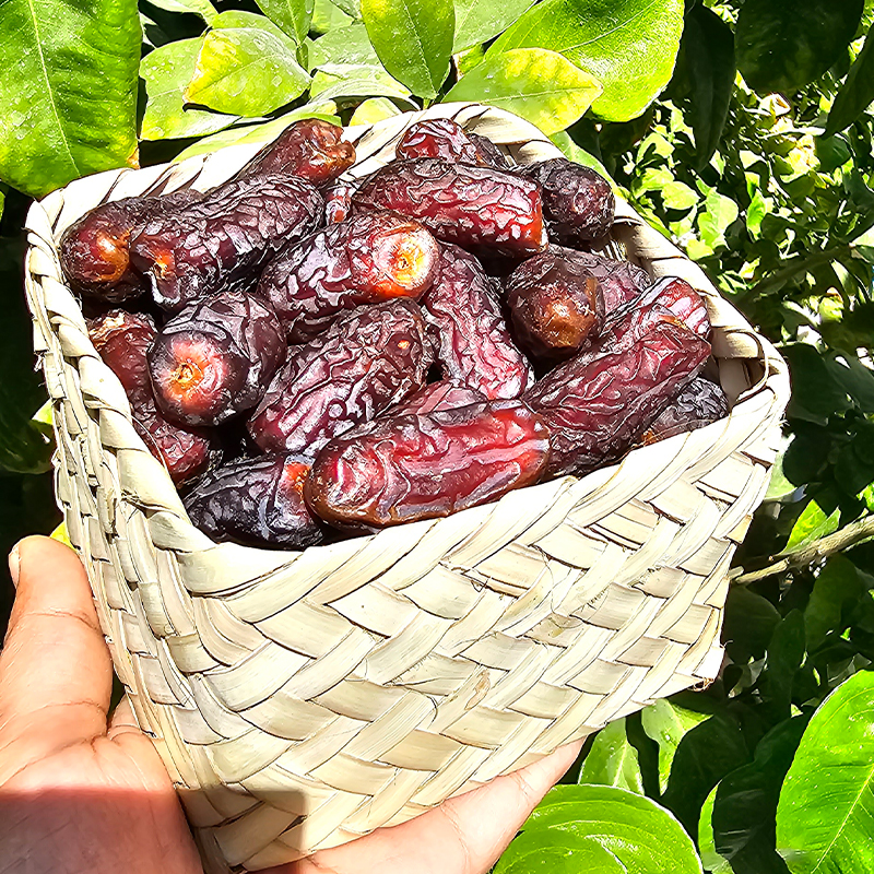 خرمای پیارم ارگانیک صادراتی